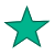 star icon2
